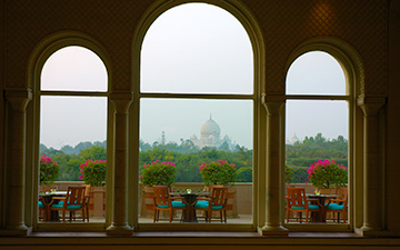 oideyasu-agra-01