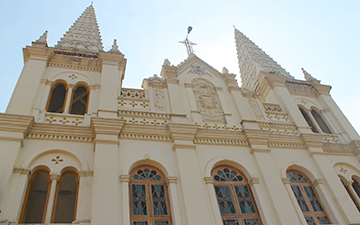 oideyasu-cochin-01