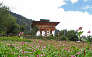 phobjikha-01