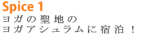 spice-01t